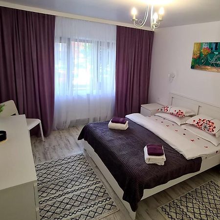 La Fluturi Apartament Leilighet Suceava Eksteriør bilde