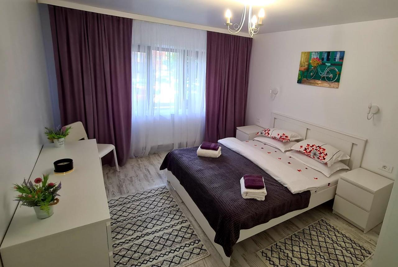 La Fluturi Apartament Leilighet Suceava Eksteriør bilde